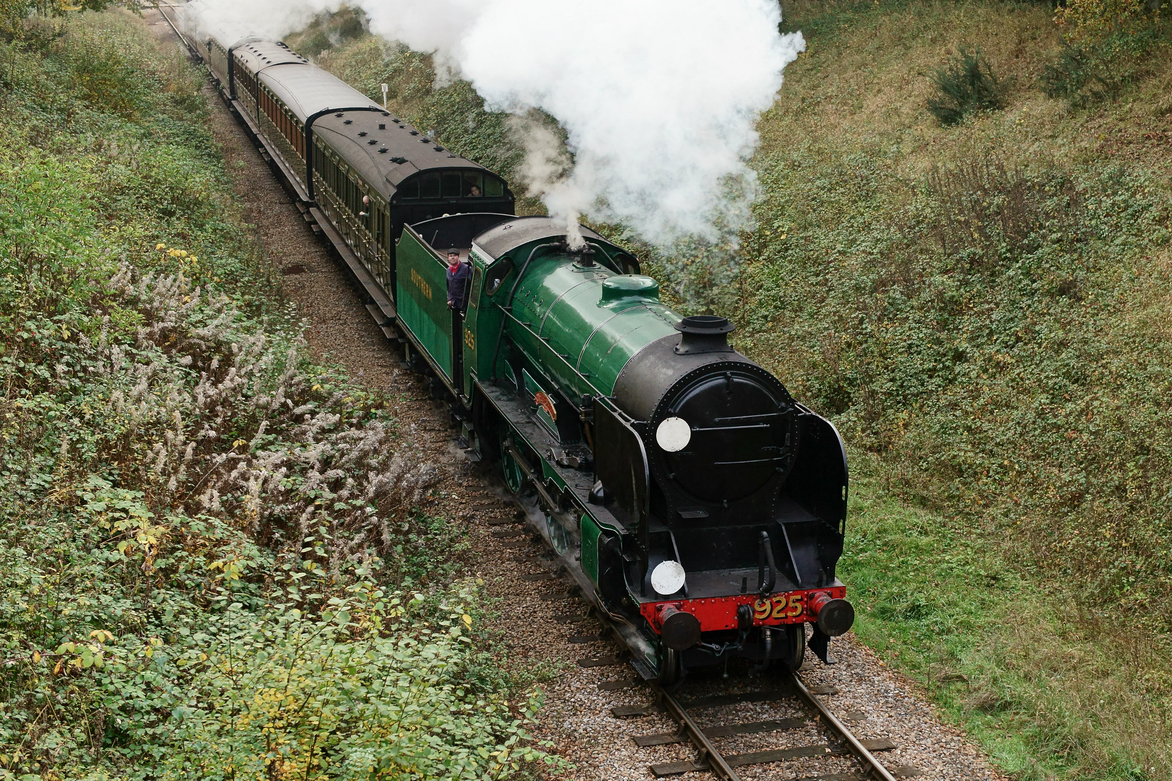 A Bluebell Railway steam locomotive running through a wooded cutting in Sussex.