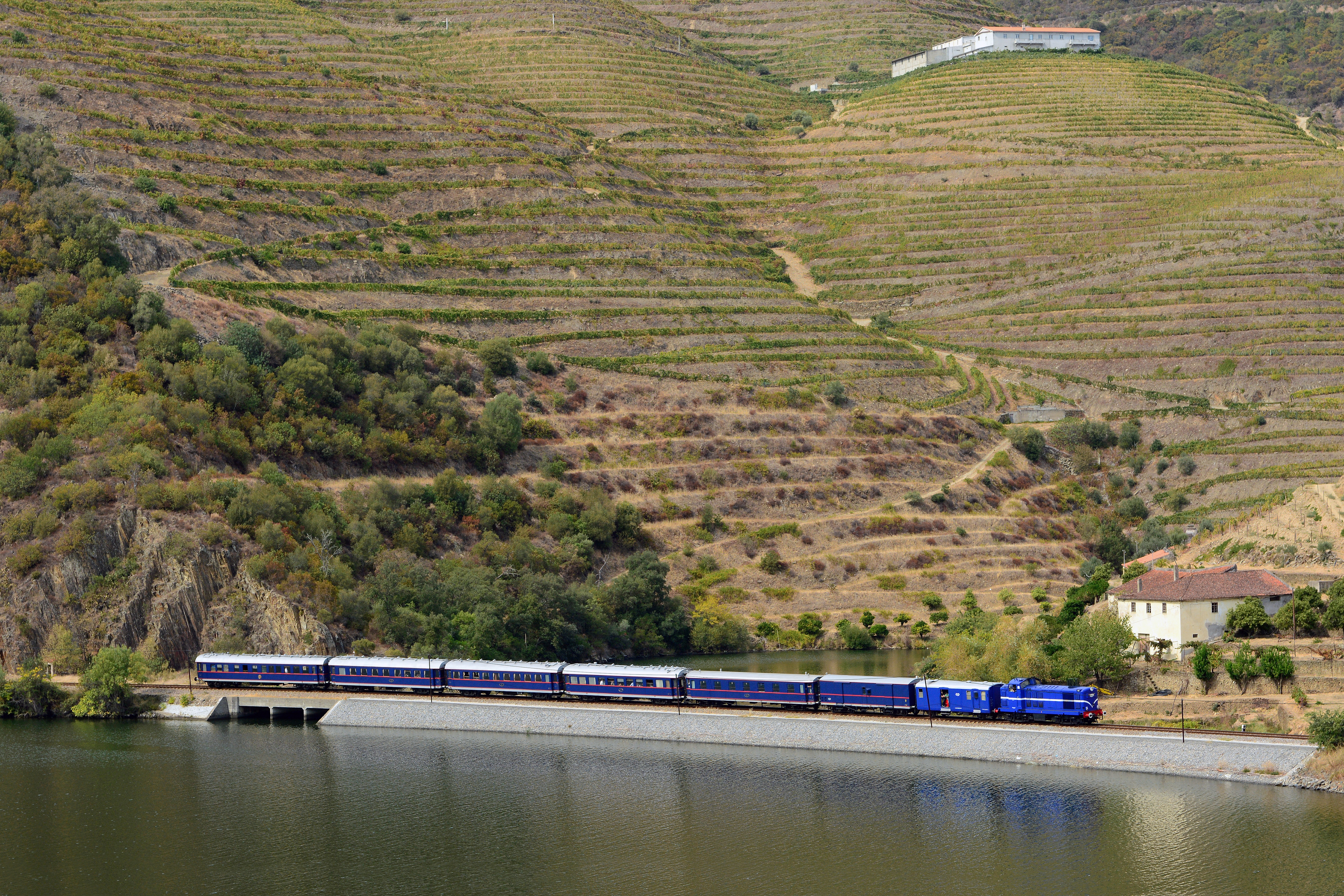 A passenger train following the Douro River beneath vineyard terraces.