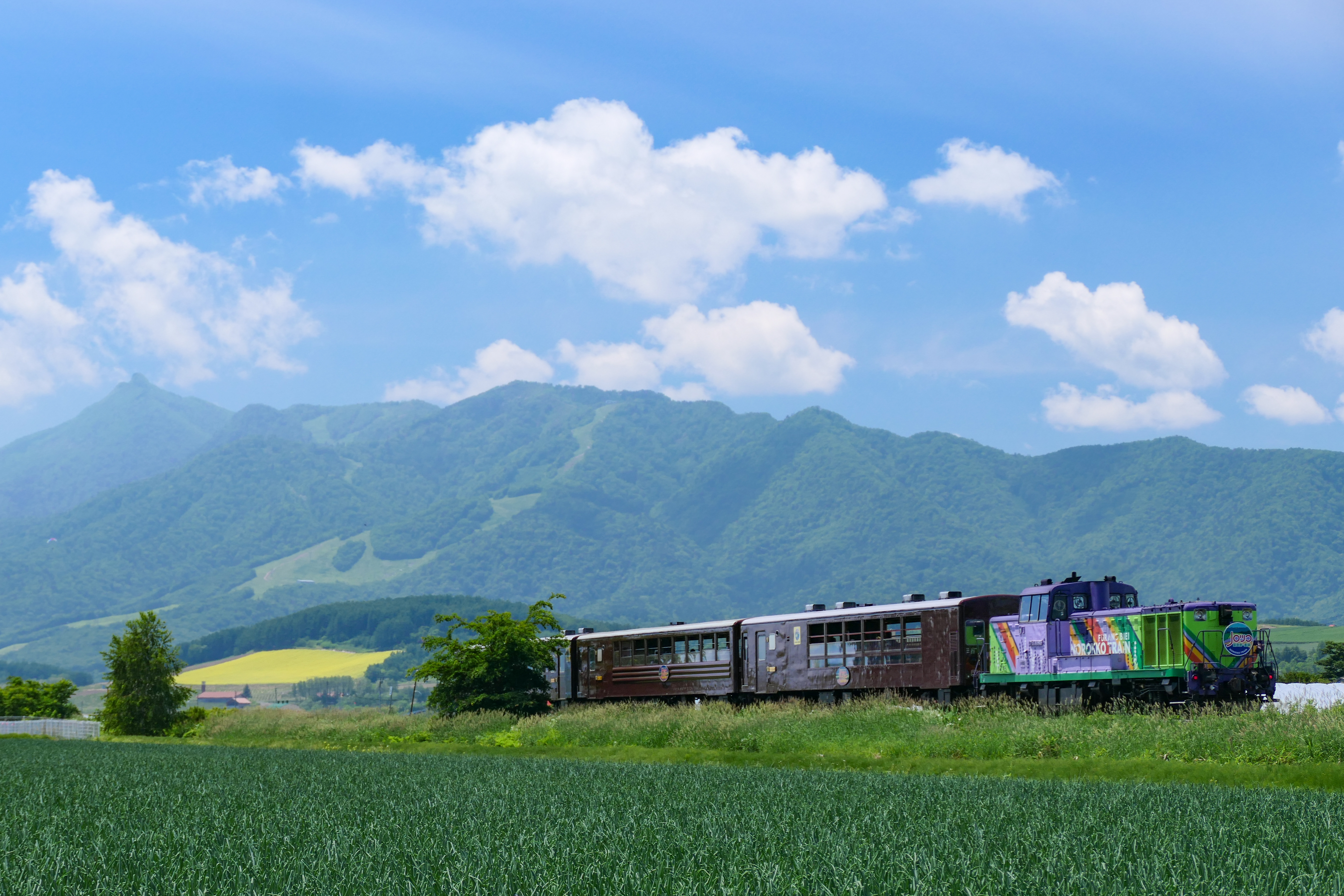 The Furano Biei Norokko train crossing farmland below Hokkaido mountains.