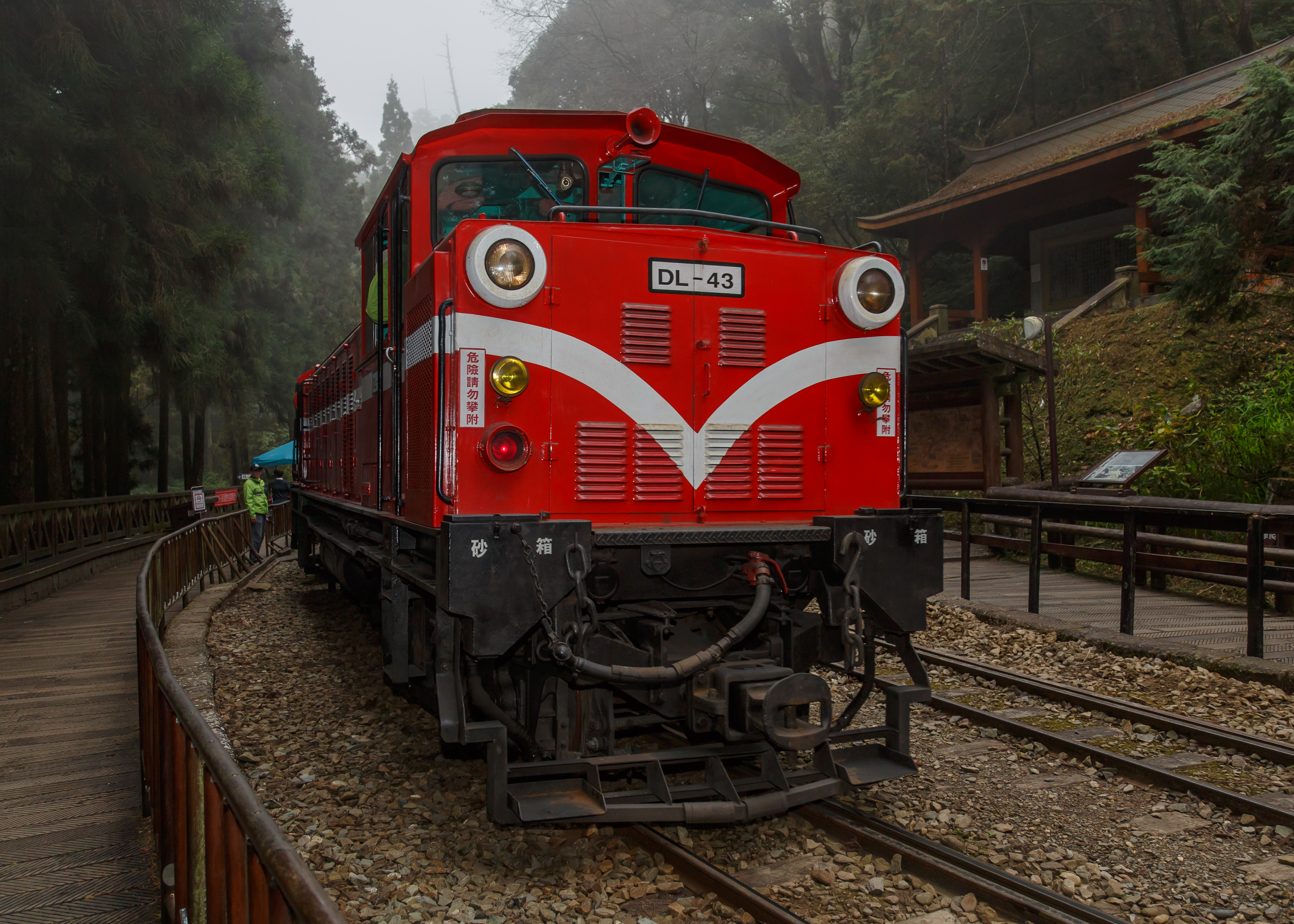 A train on Taiwan’s Alishan Forest Railway.