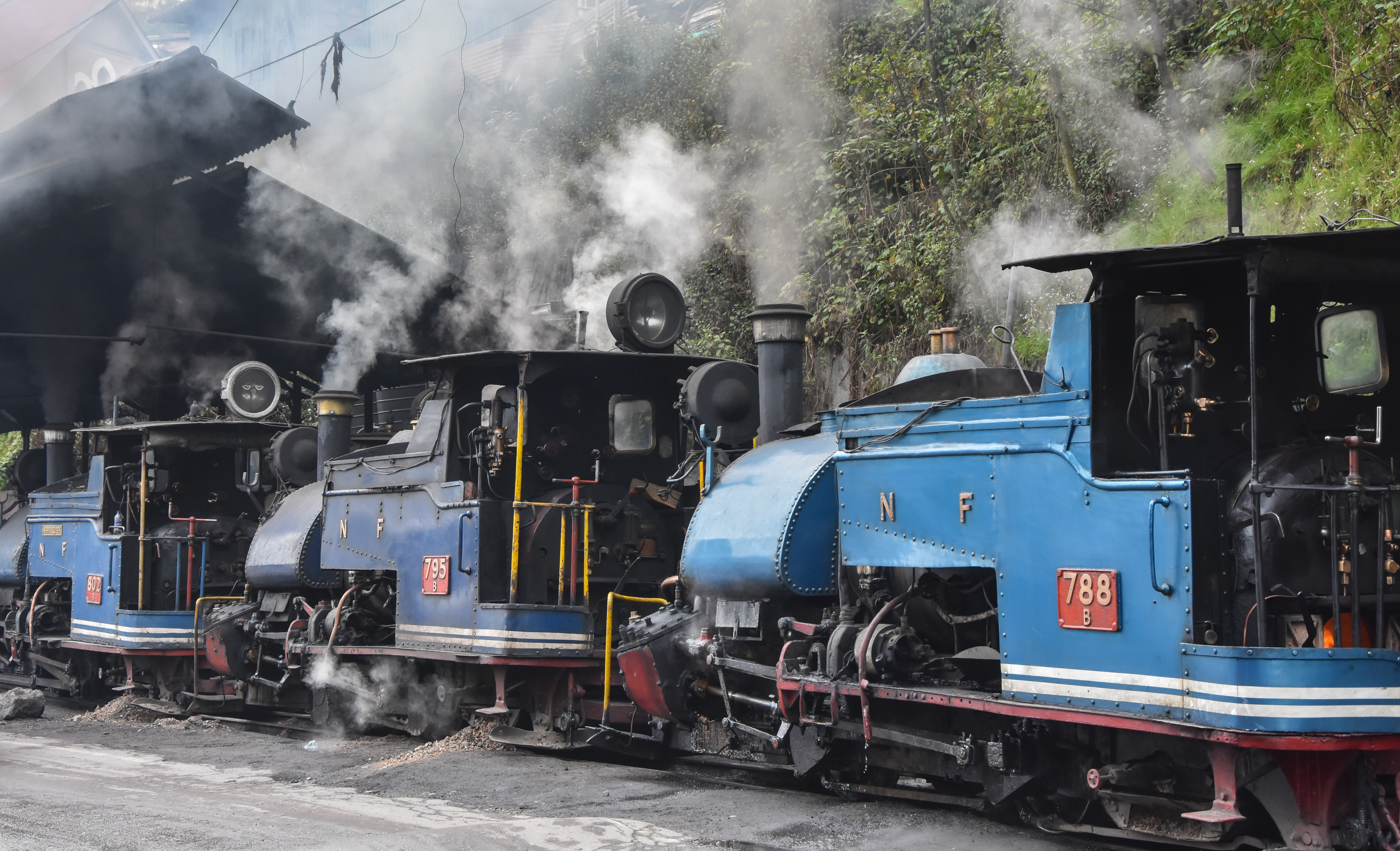 A Darjeeling Himalayan Railway train in West Bengal.