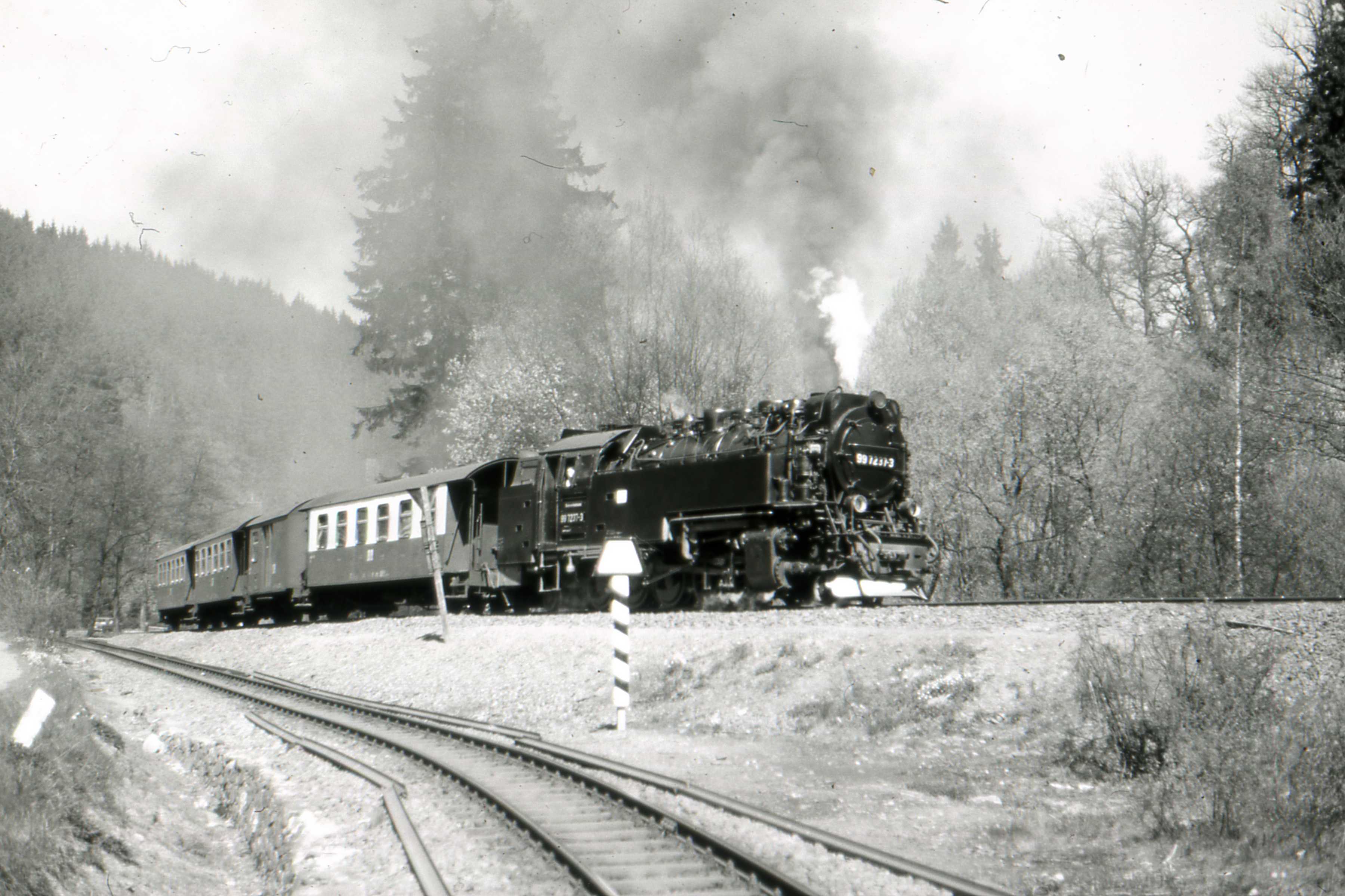 A narrow-gauge Selke Valley Railway steam locomotive departs Alexisbad station in the Harz mountains.
