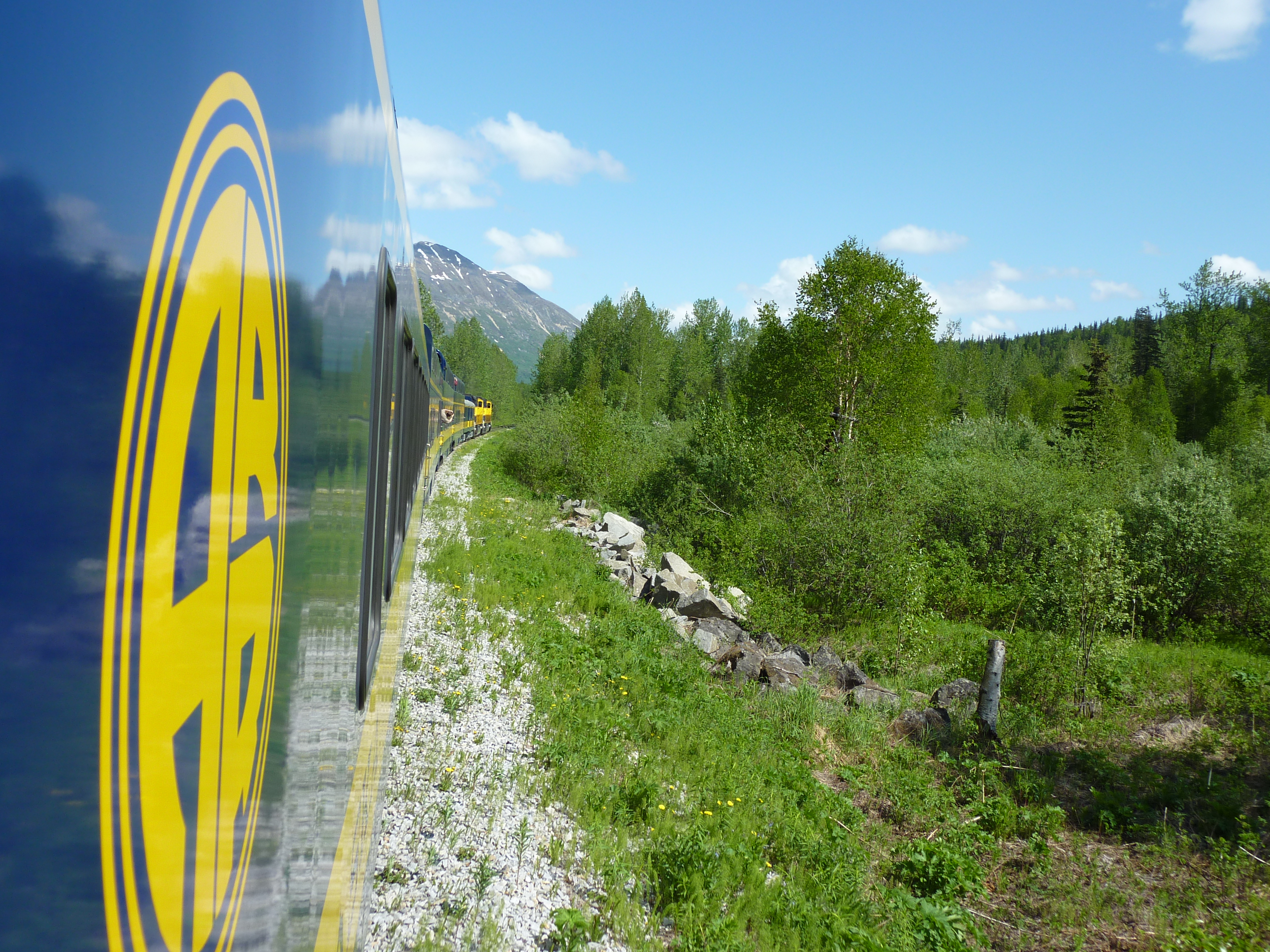 Denali Star Train: ARR Denali Star Train
