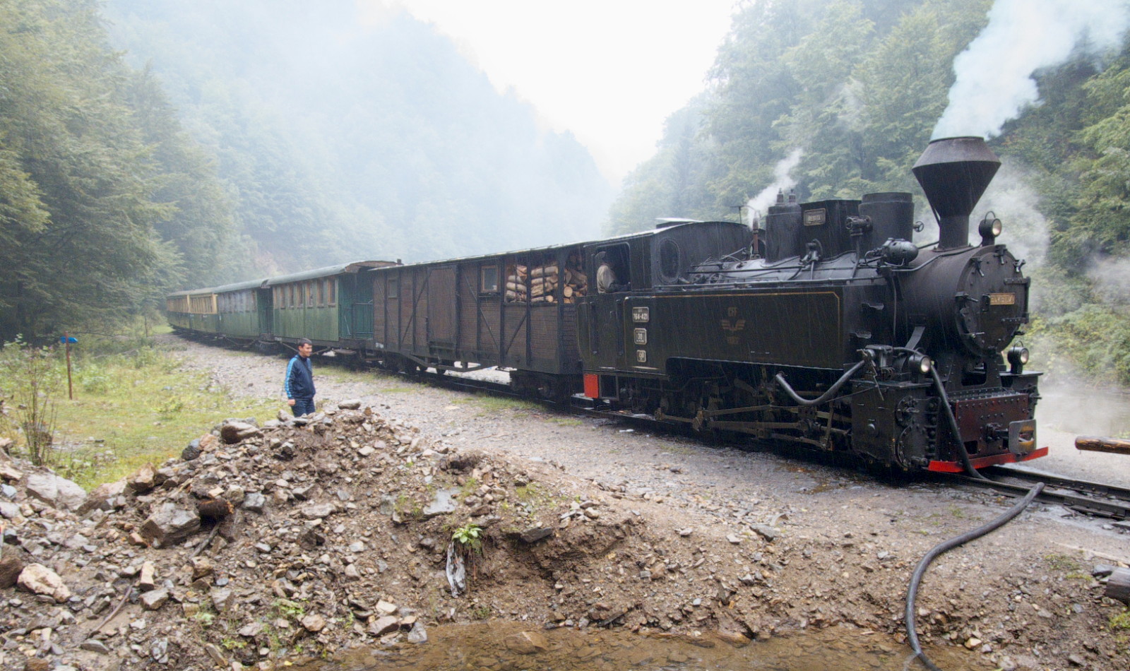 A tourist train winding through the wooded Vaser Valley in Maramureș, Romania.