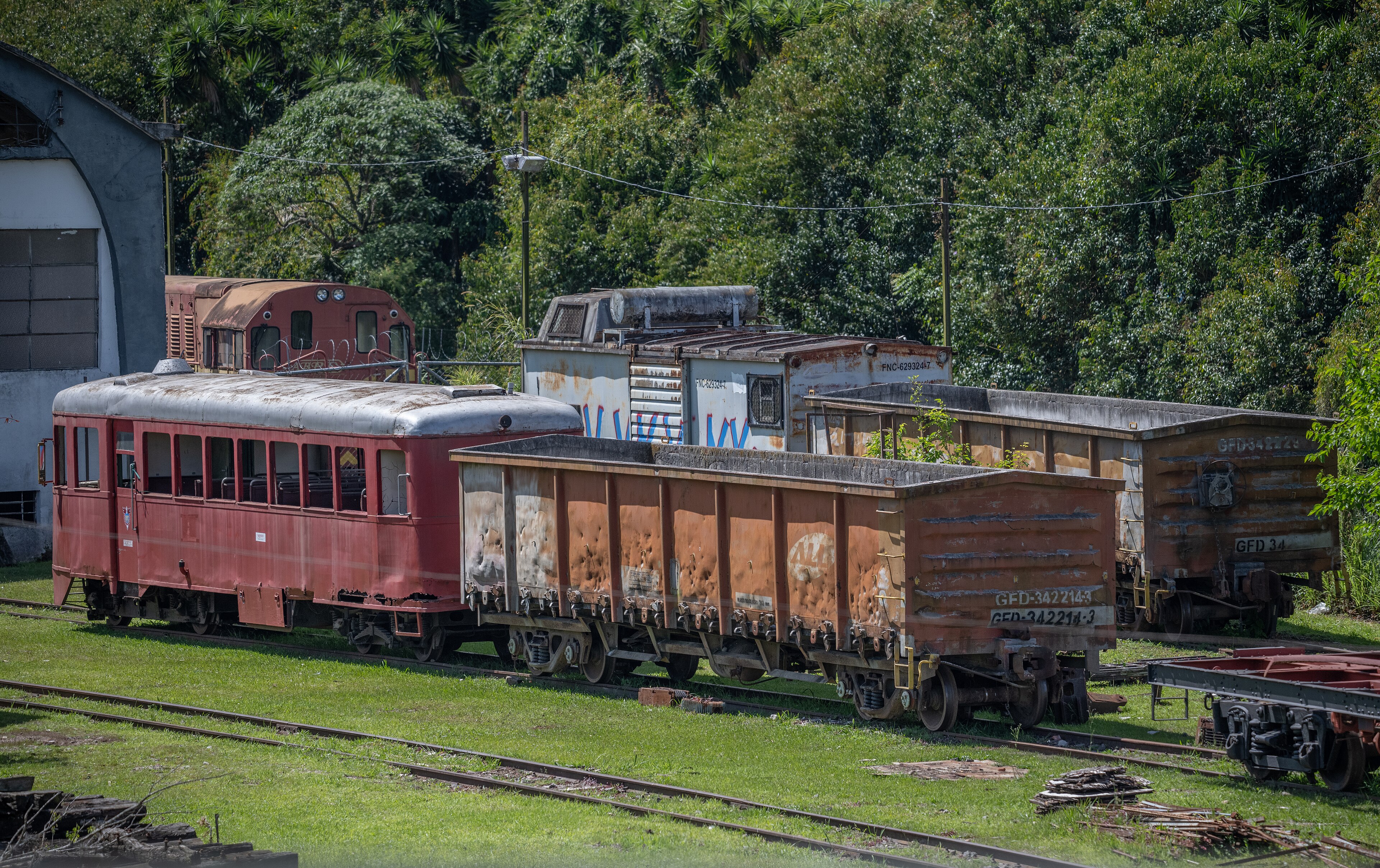 Serra Verde Express: Trilhos da Ferrovia Curitiba 2