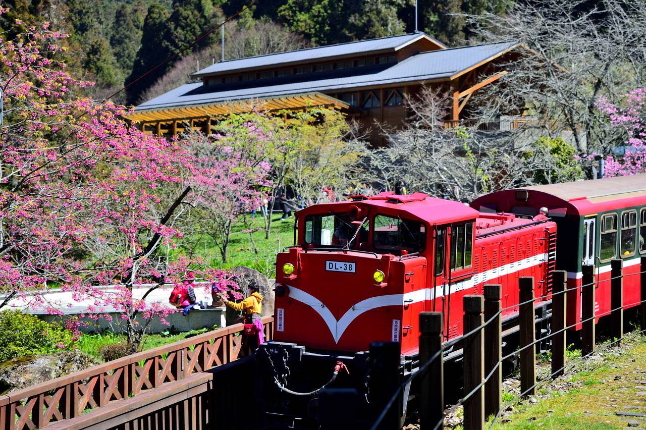 An Alishan Forest Railway train in the Alishan National Forest Recreation Area in Taiwan.