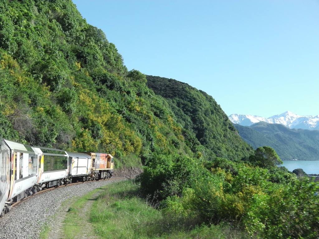 The Coastal Pacific train running beside the Kaikōura Coast in New Zealand.