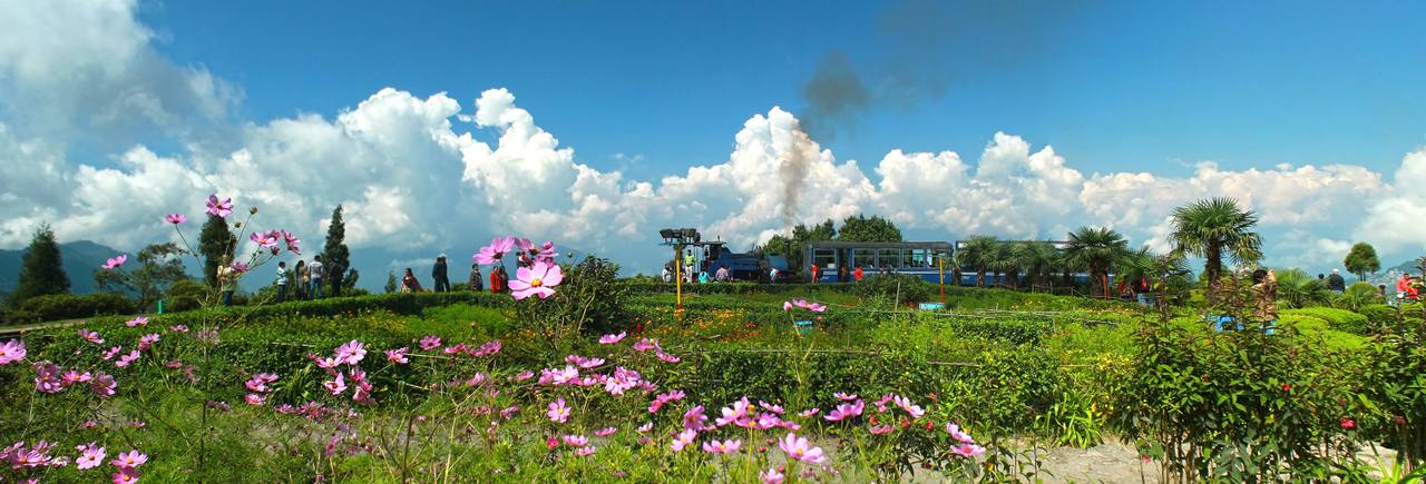 A Darjeeling Himalayan Railway train crosses flower-lined Batasia Loop beneath Himalayan clouds.