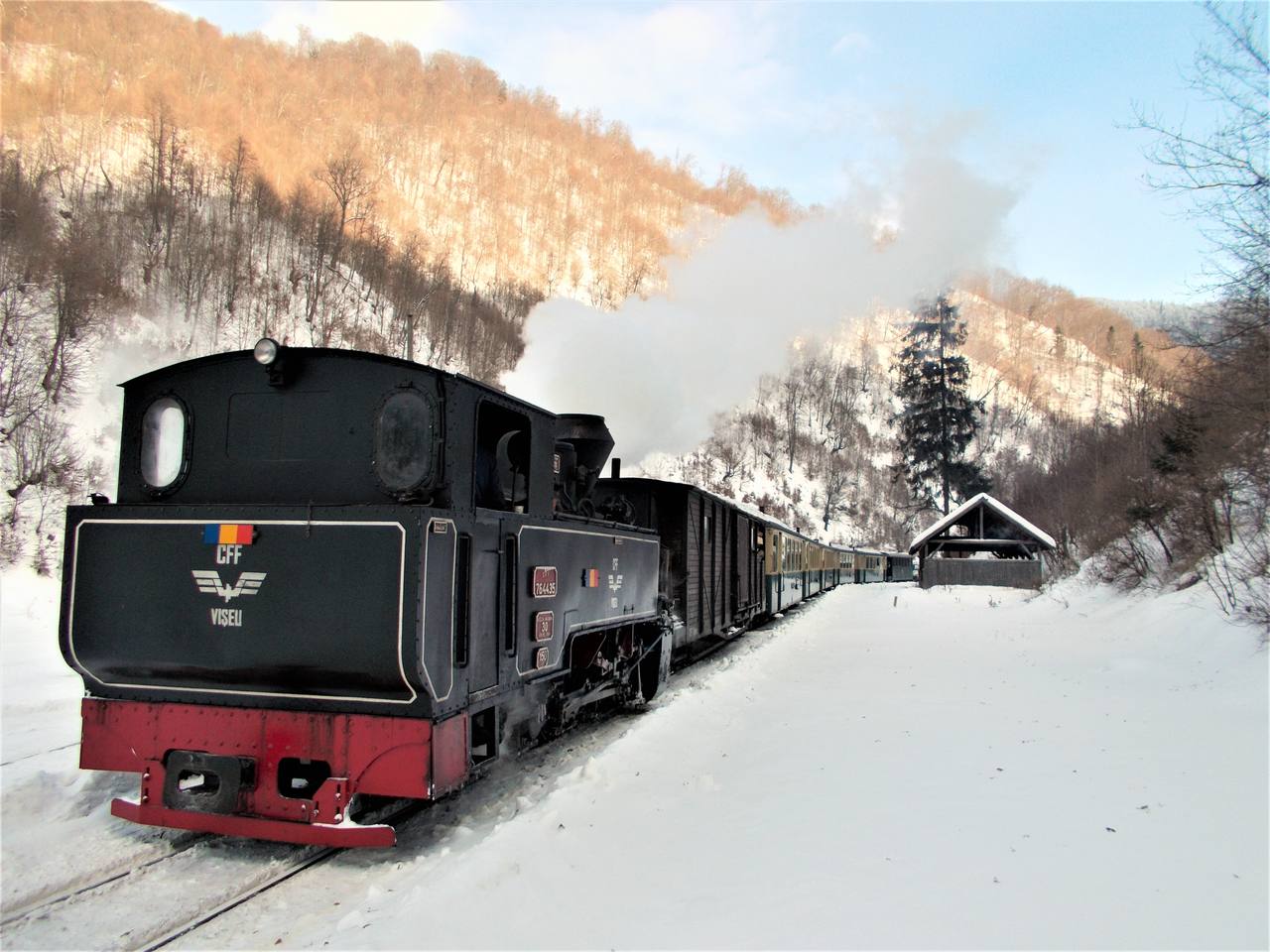 A Mocănița narrow-gauge train on the Vaser Valley Railway in Maramureș, Romania.