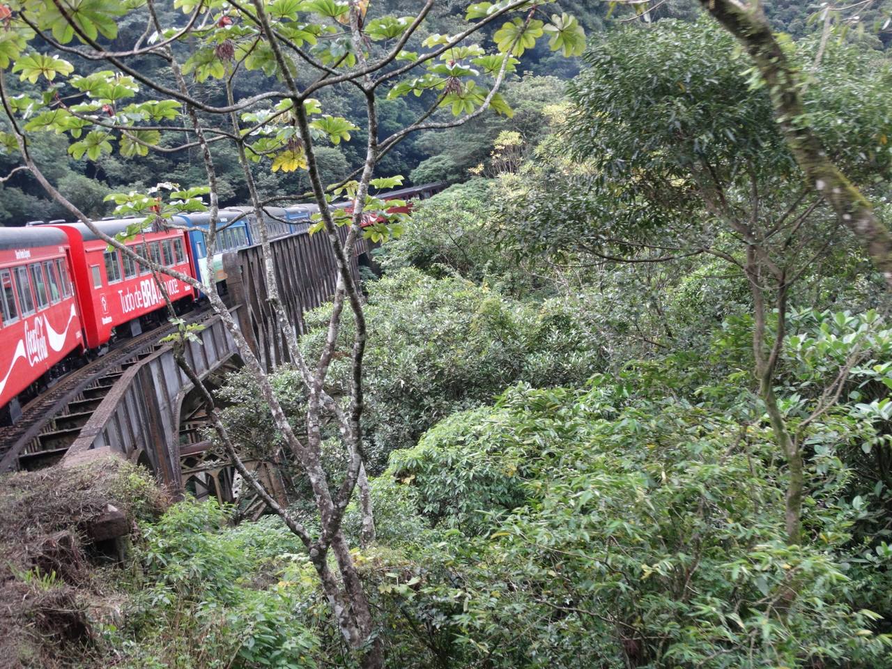 Serra Verde Express on the Curitiba–Morretes railway through Brazil’s Serra do Mar.