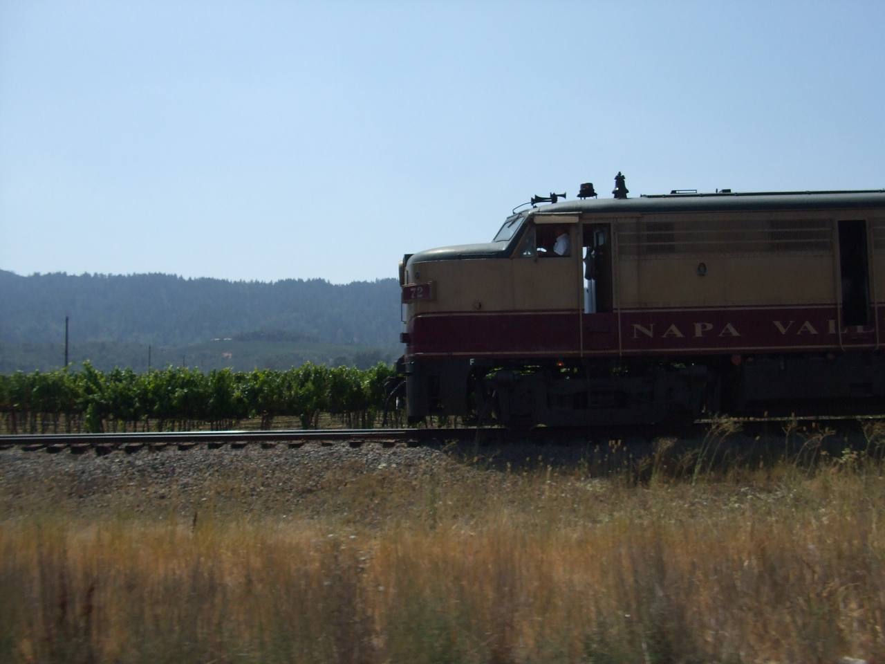 Napa Valley Wine Train locomotive 72 passing vineyards in the Napa Valley.
